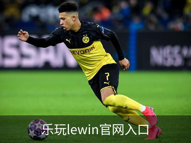乐玩lewin官网入口介绍