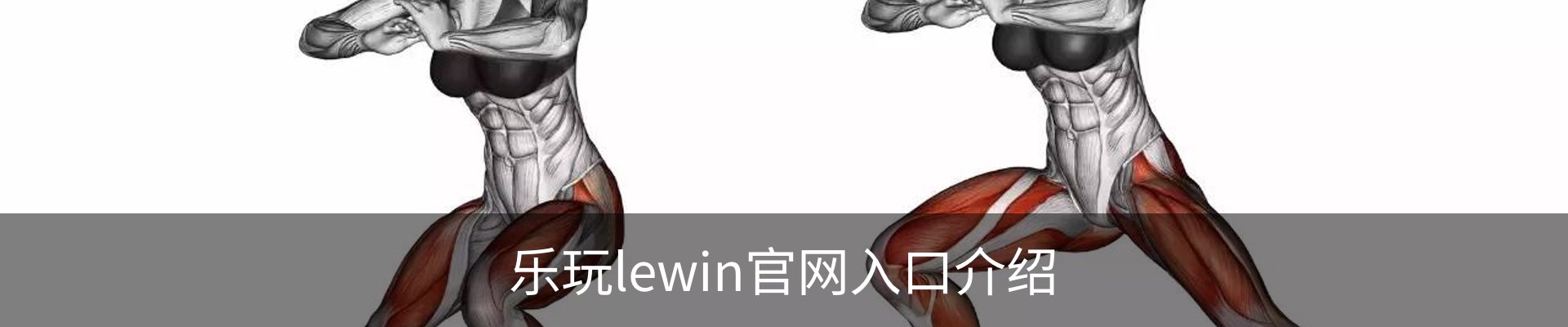 乐玩lewin官网入口介绍