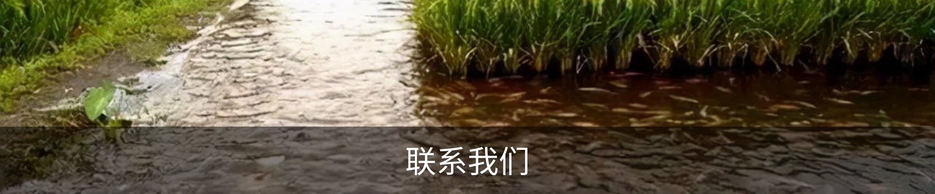 联系我们